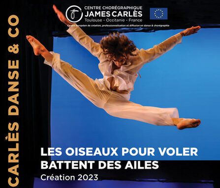 affiche CCJC les oiseaux.jpeg
