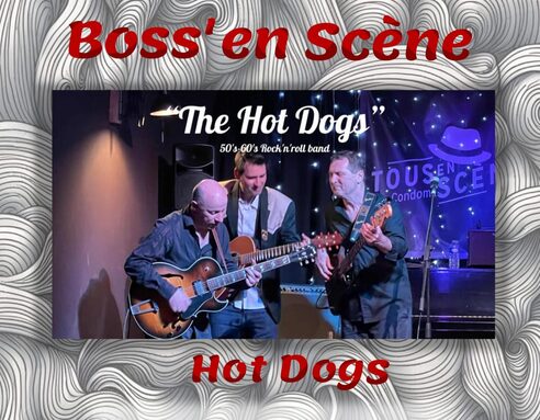 hot dogs affiche concert.jpg